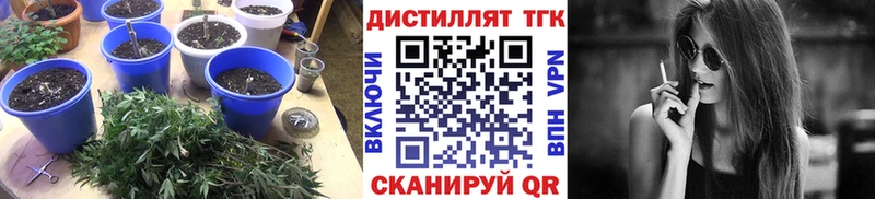 Дистиллят ТГК концентрат  blacksprut рабочий сайт  Шатура  что такое наркотик 